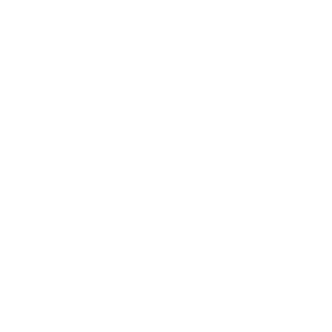 logo_flat_portfolio_white